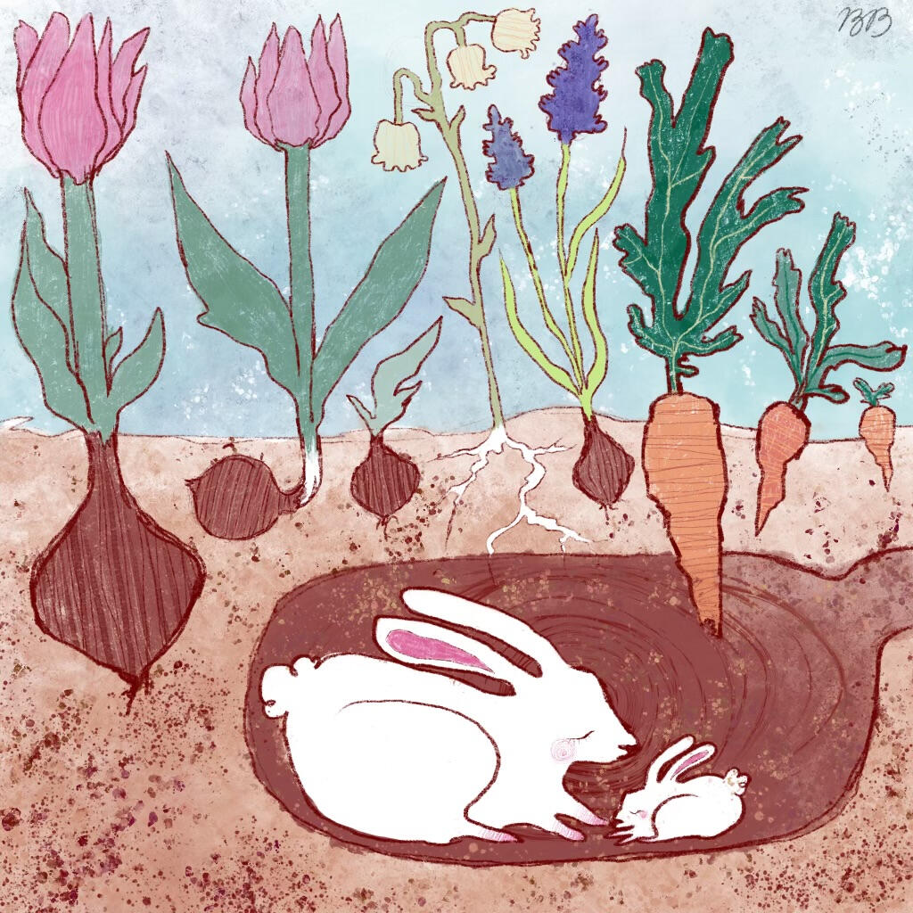 spring is coming two white rabbits huddled in a burrow underground under the roots and bulbs of various flowers. Art by Brianna Berge