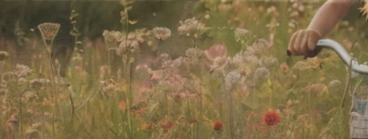 summer in greenland a field of flowers