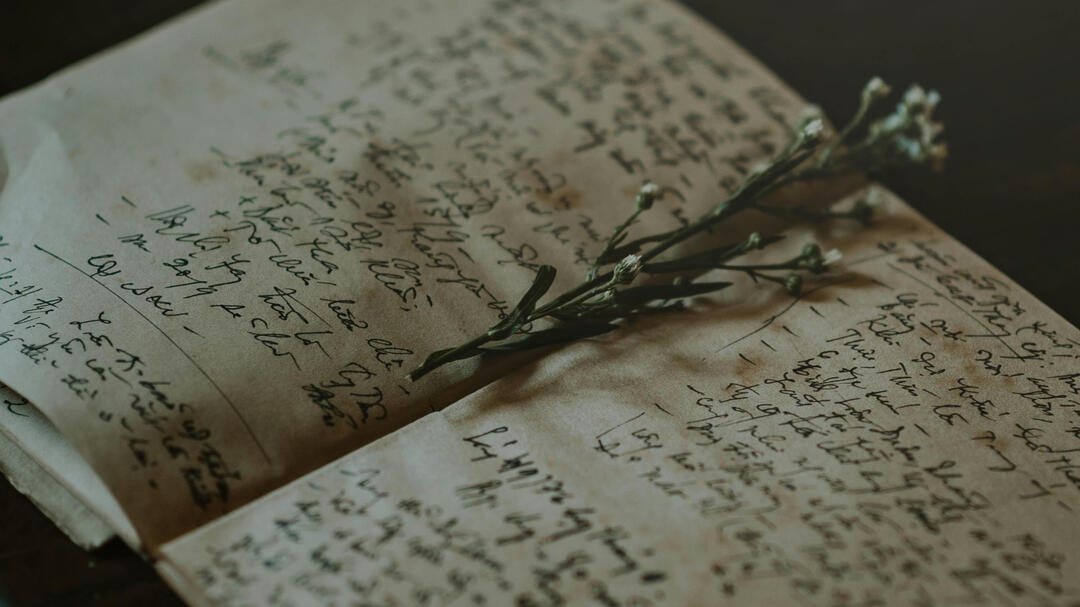 What To Do Before Submitting A Piece For Publication Part 1: The Editing stem with buds on top of a book