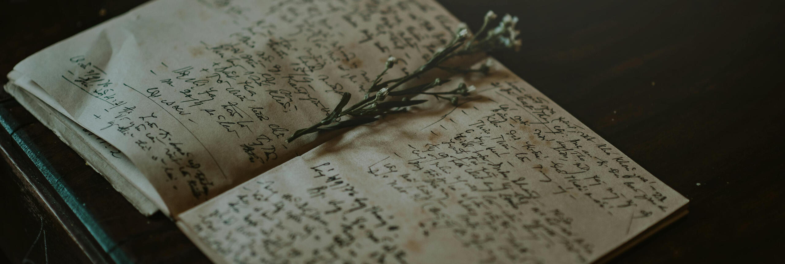 What To Do Before Submitting A Piece For Publication Part 1: The Editing stem with buds on top of a book