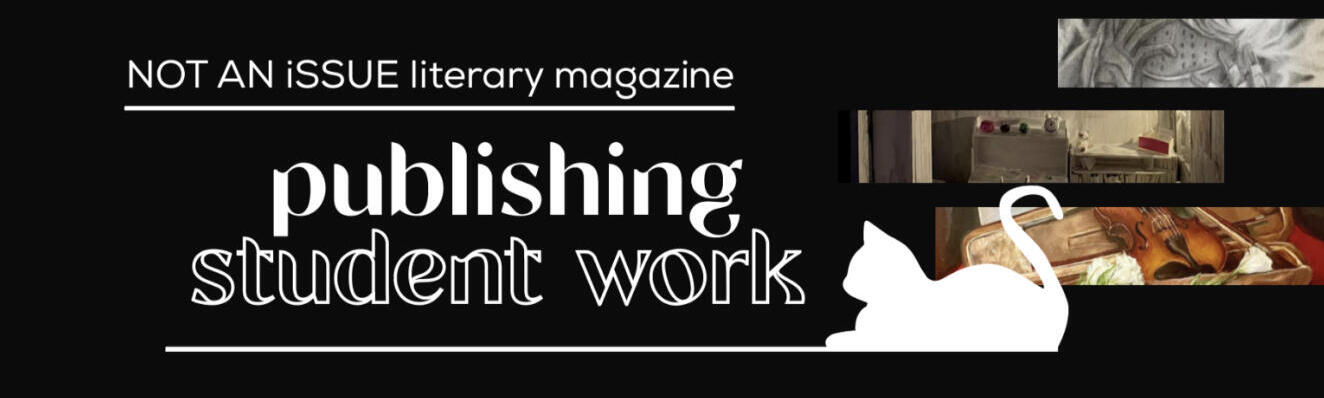 NOT AN iSSUE NOT AN iSSUE