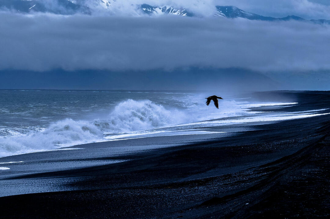 **The Birth of the Womb** picture of a cloudy beach with waves crashing
