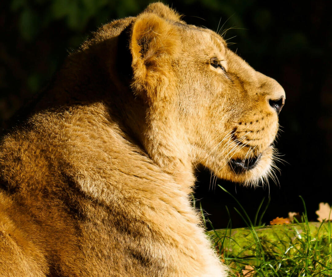 **Interview With Calum Burton: Part 2** **Interview With Calum Burton: Part 2**