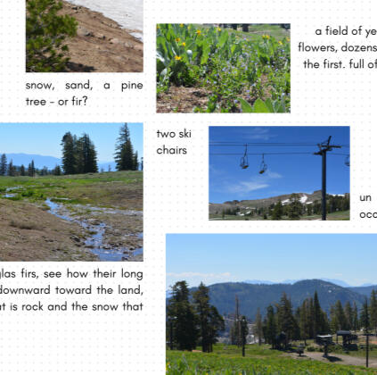 **How to Craft a Photo Essay: Snow-Kissed Memories, iSSUE IX**